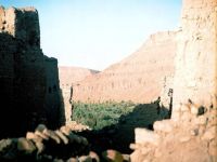 Amejouj1.JPG 520*348