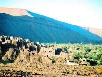 Amejouj3.JPG 520*348
