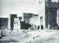 tinjdad1.jpg*620*463