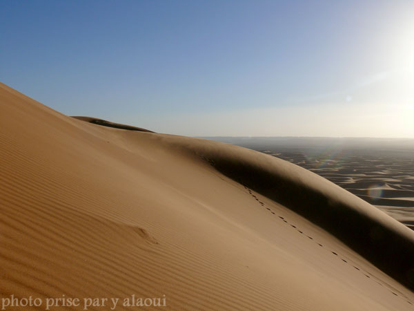 dune merzouga